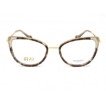 Armação Ana Hickmann AH60014 G21 53-19