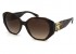 Óculos de Sol Ralph Lauren RL8220 5003/13 54-17