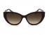 Óculos de Sol Kipling KP4081 M271 55-17