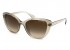 Óculos de Sol Armani Exchange AX4111SU 824013 54-18