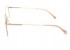 Armação Bulget BG2116 05A 55-17
