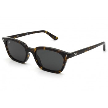 Óculos de Sol Ray-Ban ZAYA RB4456 1359/87 53-19