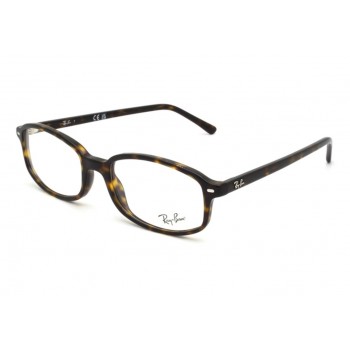 Armação Ray-Ban RB5432 2012 54-19