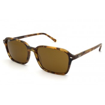 Óculos de Sol Ray-Ban RAIMOND RB2231 1418/33 58-18