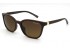 Óculos de Sol Armani Exchange AX4168SU 8402T5 54-19